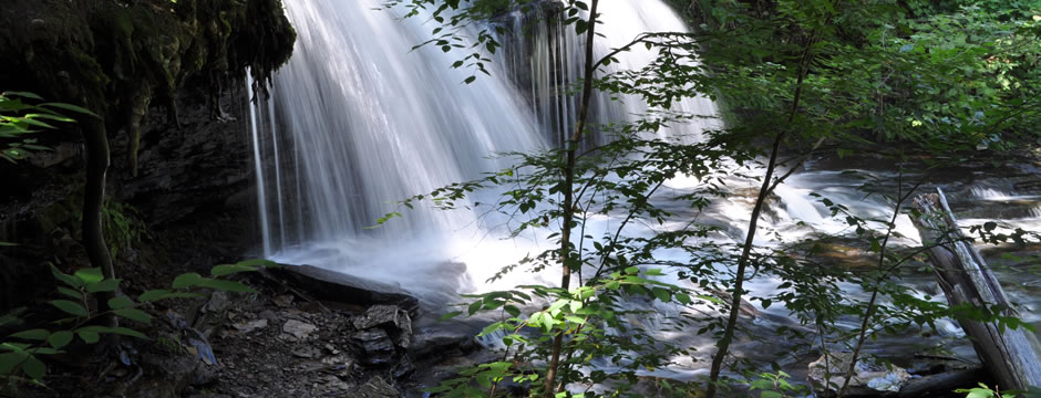 物流管理软件的短信测压api